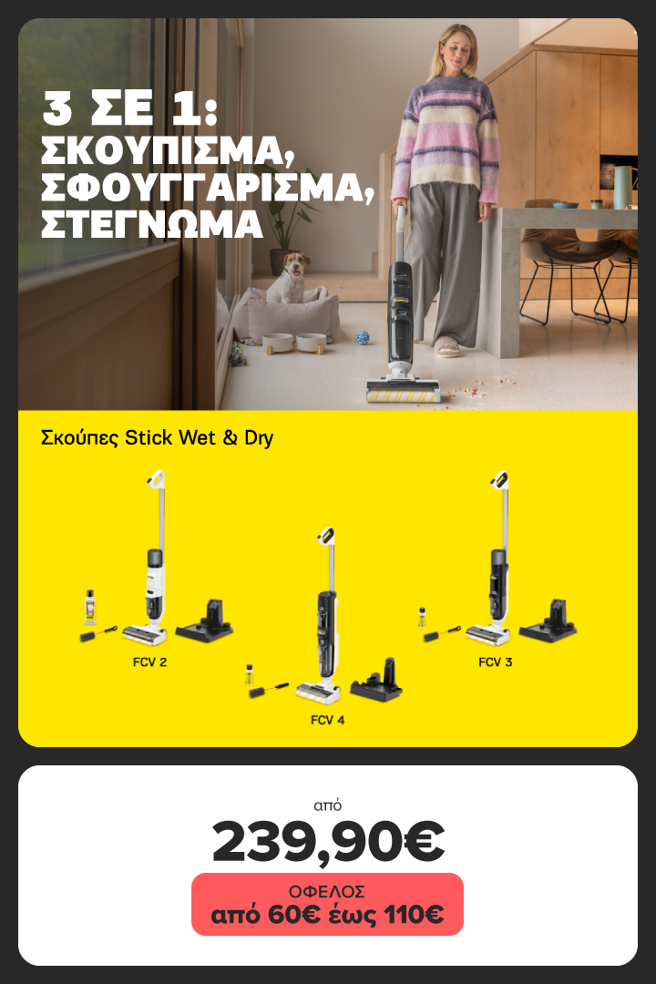 Karcher Stick Vaccum Wet & Dry