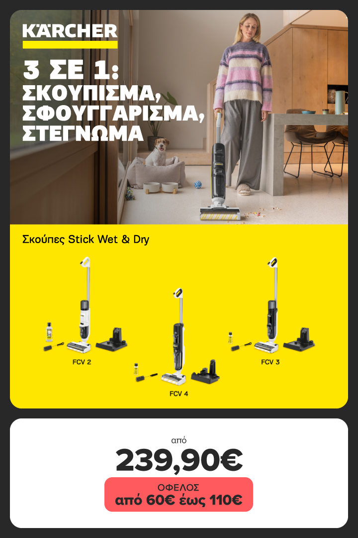 Karcher Stick Vaccum Wet & Dry
