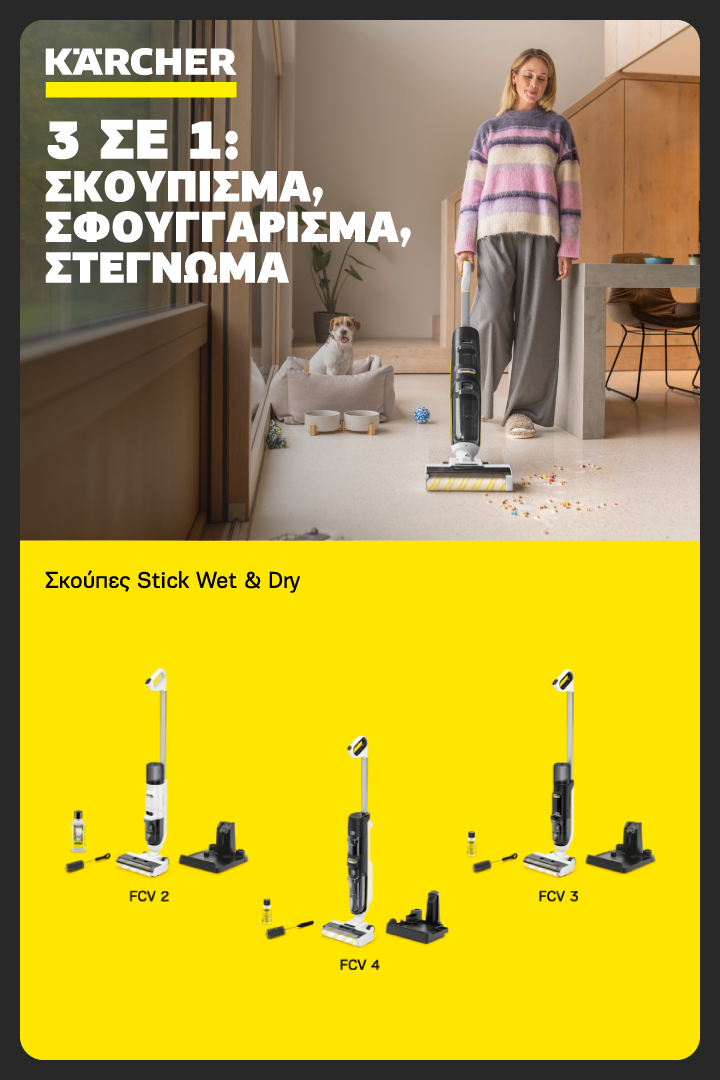 Karcher Stick Vaccum Wet & Dry