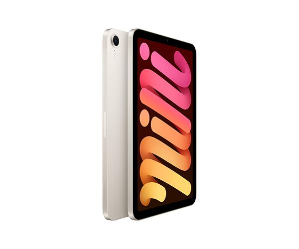 iPad mini 