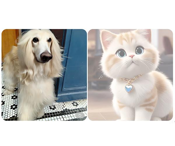 OPPO Reno 13 5G smartphone