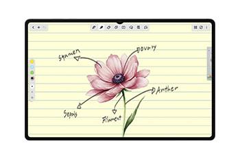 SAMSUNG Galaxy Tab S11
