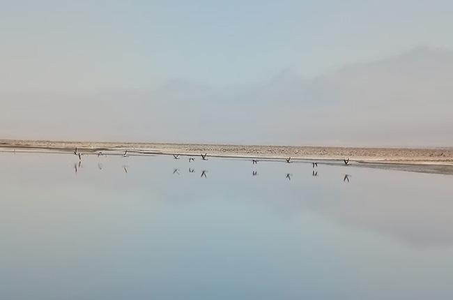 MOTOROLA moto g77 Dual 5G Smartphone