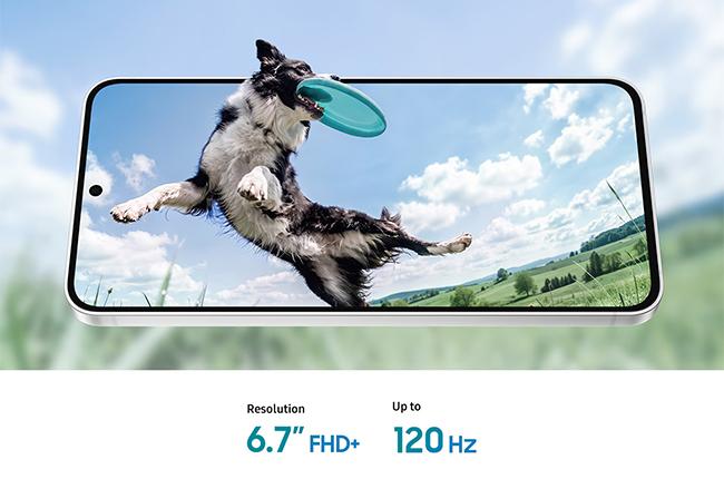 SAMSUNG Galaxy S26 FE Smartphone