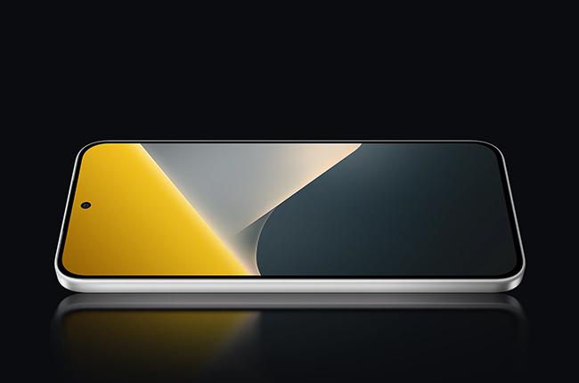 POCO X8 Dual 5G amoled screen