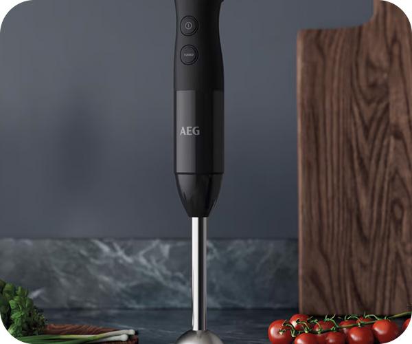 AEG HB4-1-6GG Deli 4 Ραβδομπλέντερ Turbo