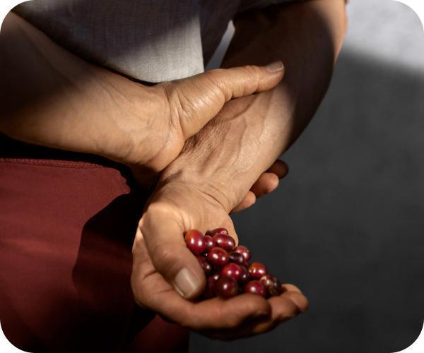 KRUPS XN930T nespresso 