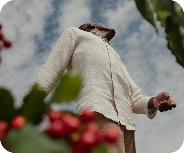 KRUPS XN930T nespresso quality