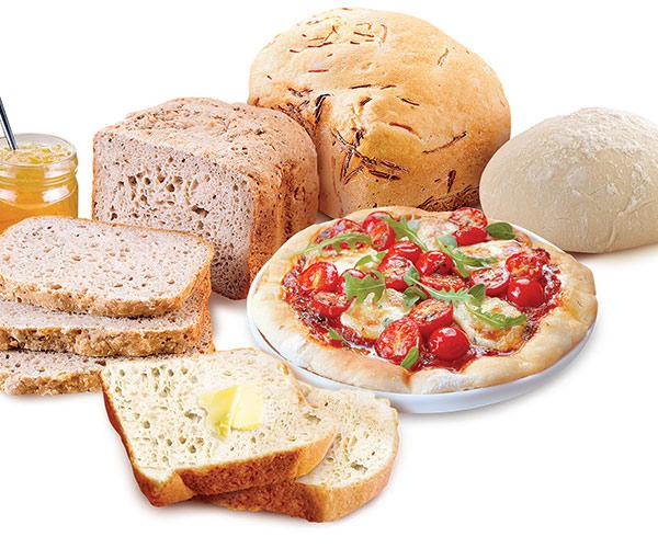 Tefal Bread  Maker Pain Dore PF2101