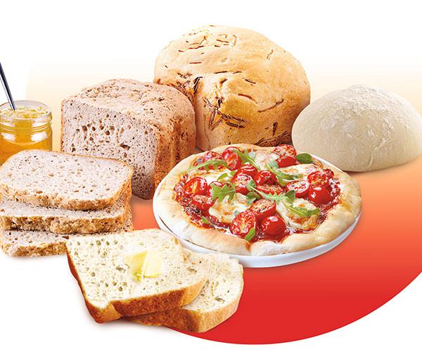 Tefal Bread  Maker Pain Dore PF2101