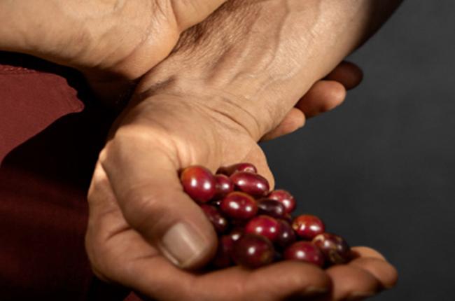 Nespresso Original Essenza