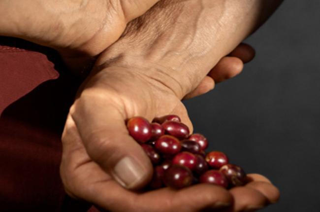 DELONGHI ENV200.GY Μηχανή Καφέ Nespresso Vertuo Up Anthracite