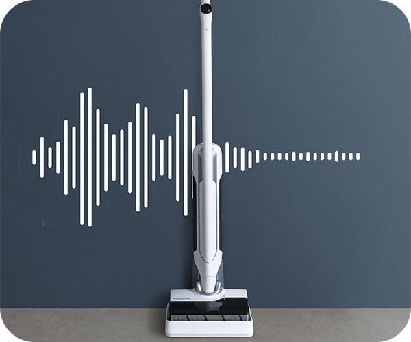 ROWENTA GZ7035WO X-Clean 10