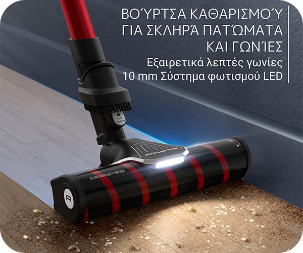 ROWENTA RH2099 X-Force Flex 9.60 Parquet 