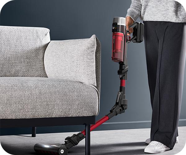 ROWENTA RH2099 X-Force Flex 9.60 Parquet 