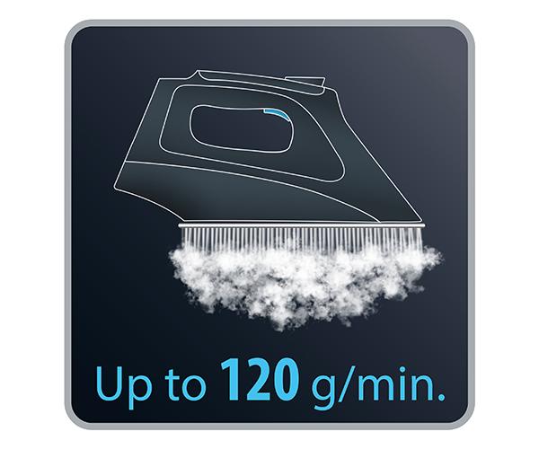 ROWENTA DG8622 Perfe Steam Pro