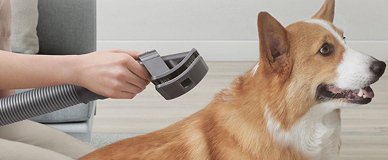 DYSON 972205-01 Σετ Περιποίησης Κατοικίδιων