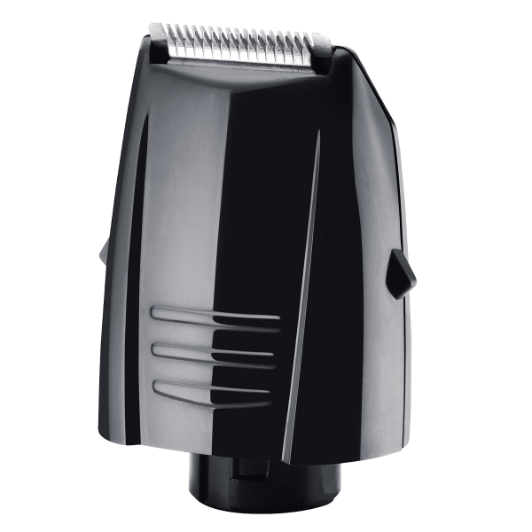 Επιλεγμένη εικόνα