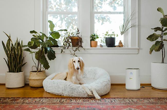 KARCHER 1.024-820.0 AF 20 Καθαριστής Αέρα Child Lock