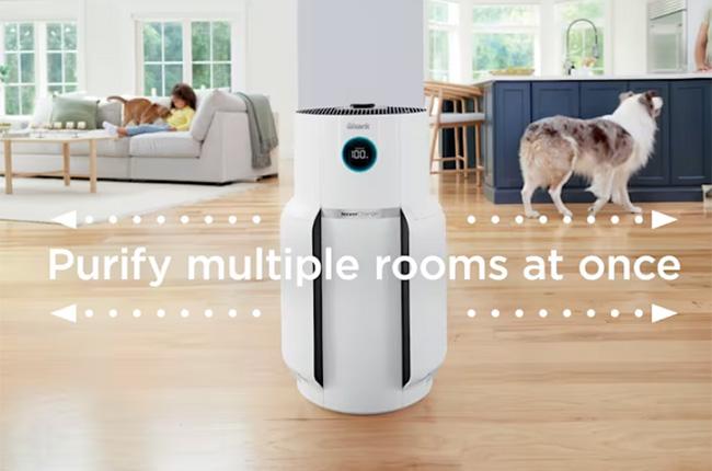 SHARK HP150EU NeverChange5