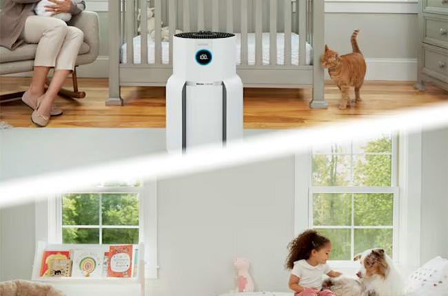 SHARK HP150EU NeverChange5