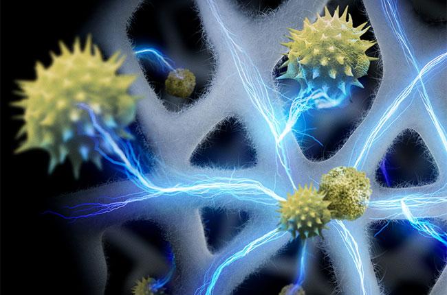 DYSON 491355-01 HJ10 Hushjet