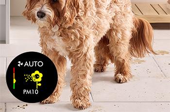 DYSON 546519-01 TP12 Purifier Cool Καθαριστής Αέρα