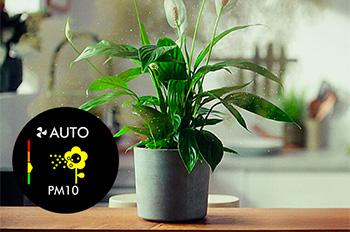 DYSON 546519-01 TP12 Purifier Cool Καθαριστής Αέρα