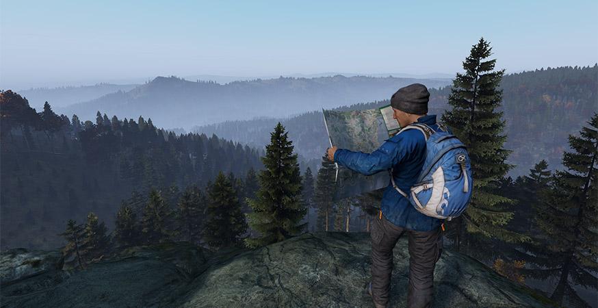 DayZ
