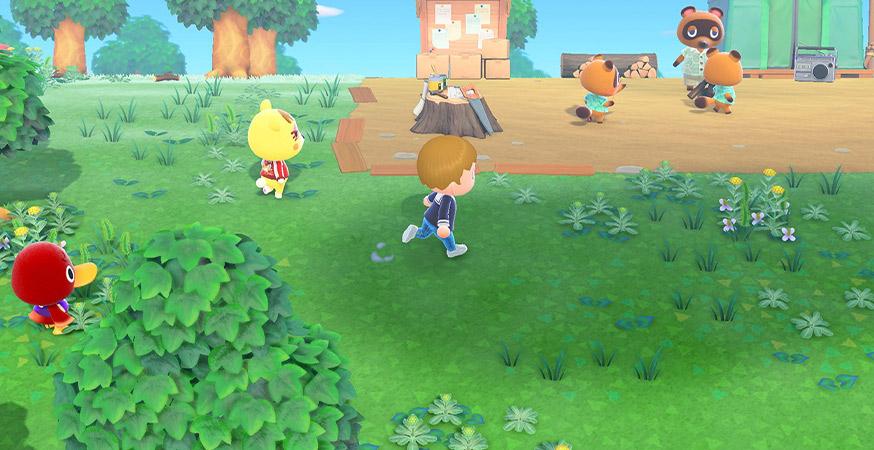 Animal Crossing: New Horizons