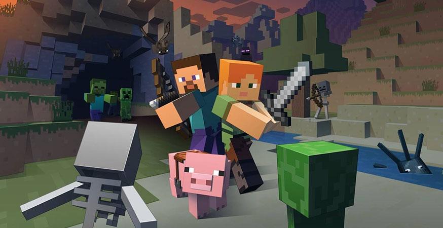 Minecraft Starter Collection