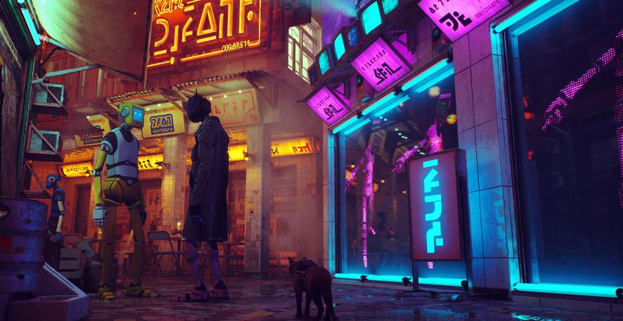 Stray 