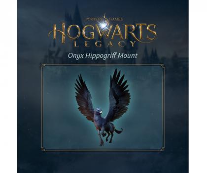 Hogwarts Legacy Collectors Edition