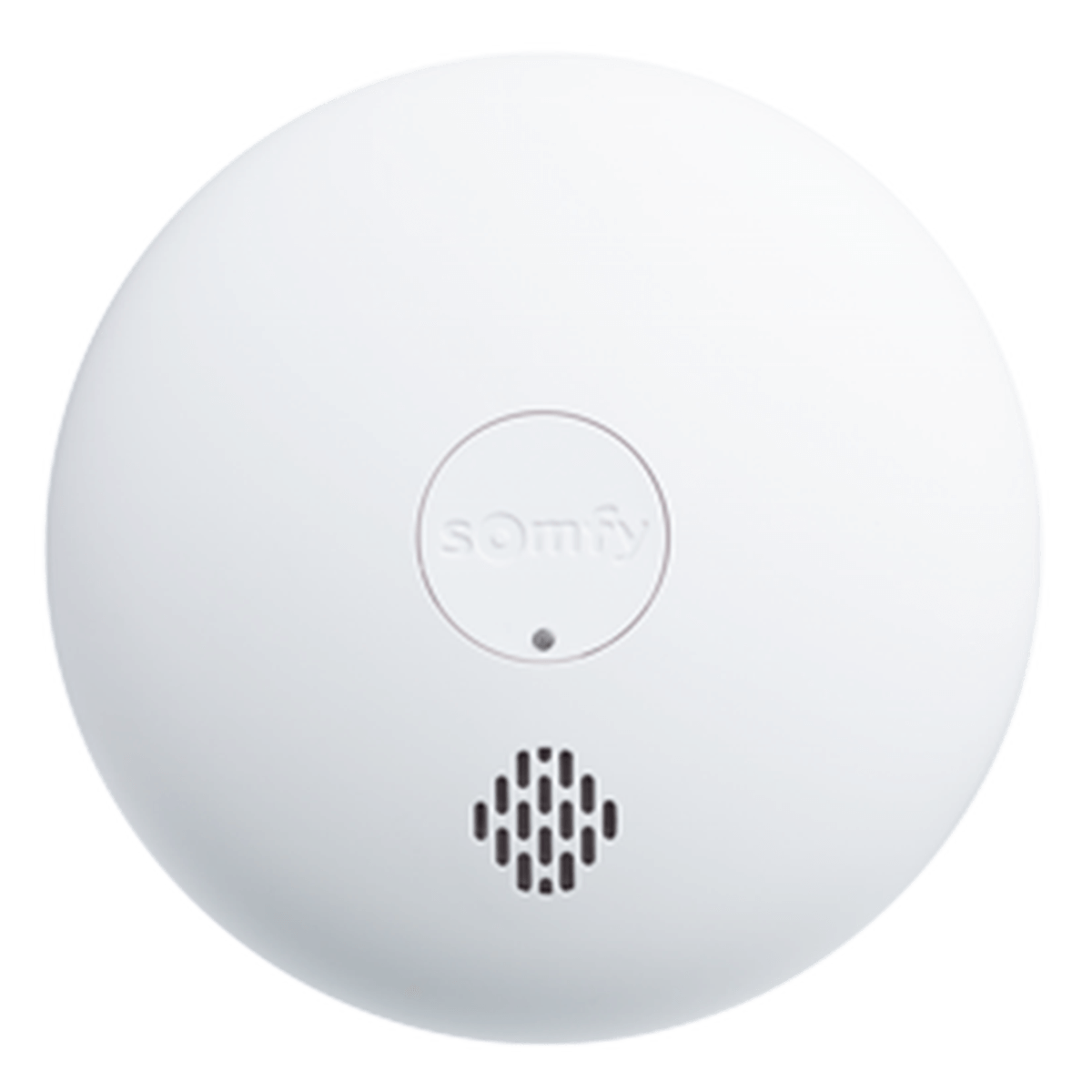 SOMFY Εσωτερική Κάμερα Ασφαλείας - 3
