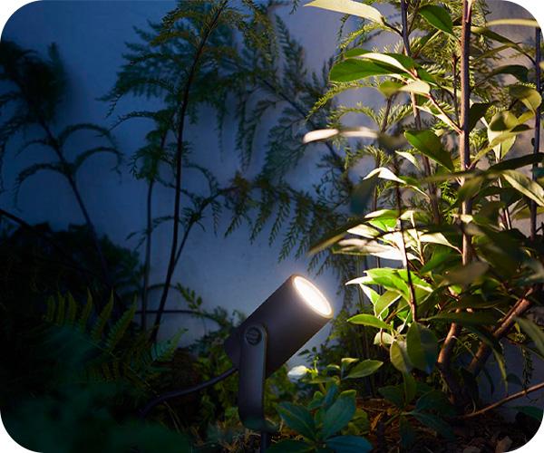 PHILIPS Hue White & Color Ambiance Lily