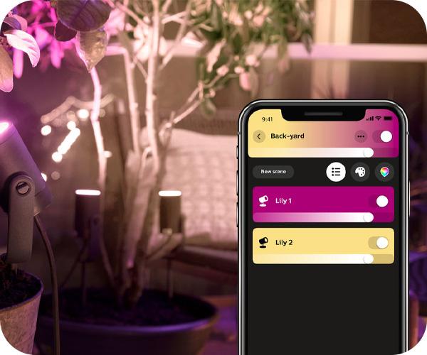 PHILIPS Hue White & Color Ambiance Lily
