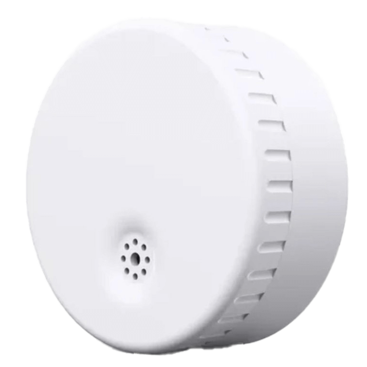 HAM SYSTEMS Bluetooth Αισθητήρας Θερμοκρασίας Υγρασίας