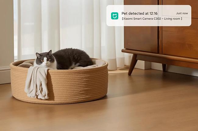 παρακολουθείς και να καταγράφεις