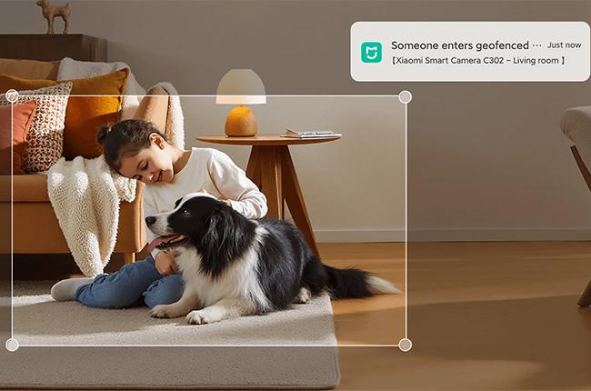 πλήρεις τοπικές δυνατότητες AI