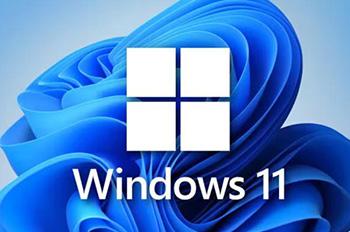 Windows 11