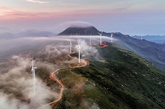 Adobe Creative Cloud Pro