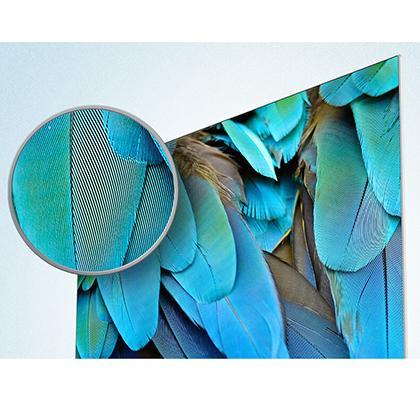SHARP Smart TV LC-65CUG8062E UHD