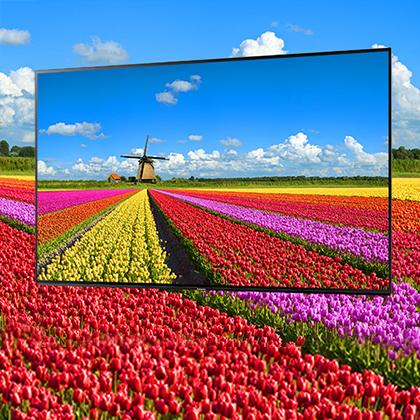 PANASONIC 4K Smart TV TX-65FX780 
