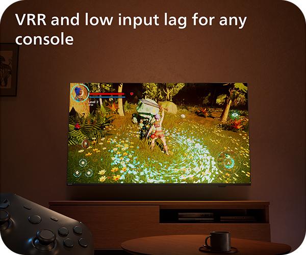 PHILIPS 50PUS7409 HDMI 2.1