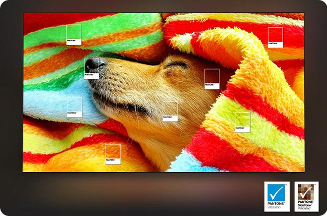 Samsung 4K OLED TV pantone