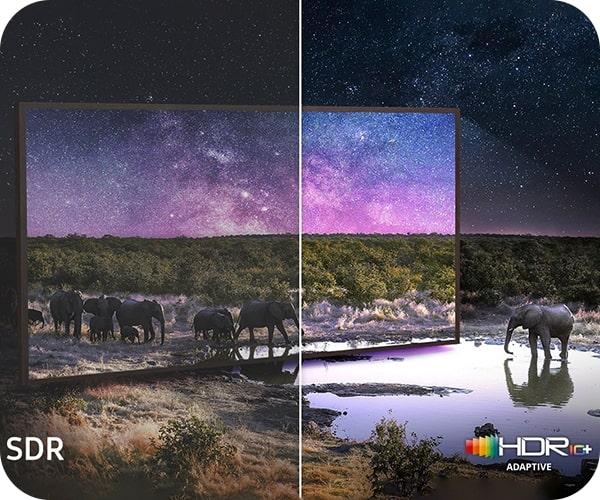 SAMSUNG The Frame Pro PANTONE