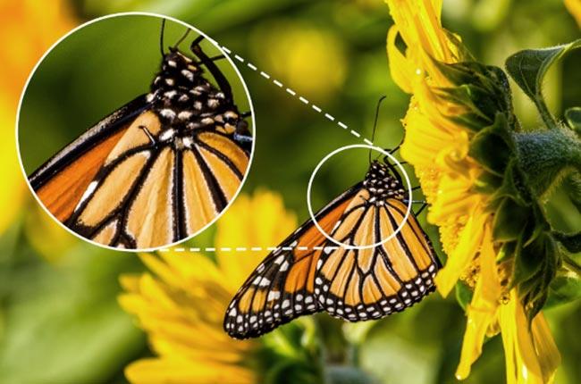 TOSHIBA 32WV3563 32'' HD Vidaa TV