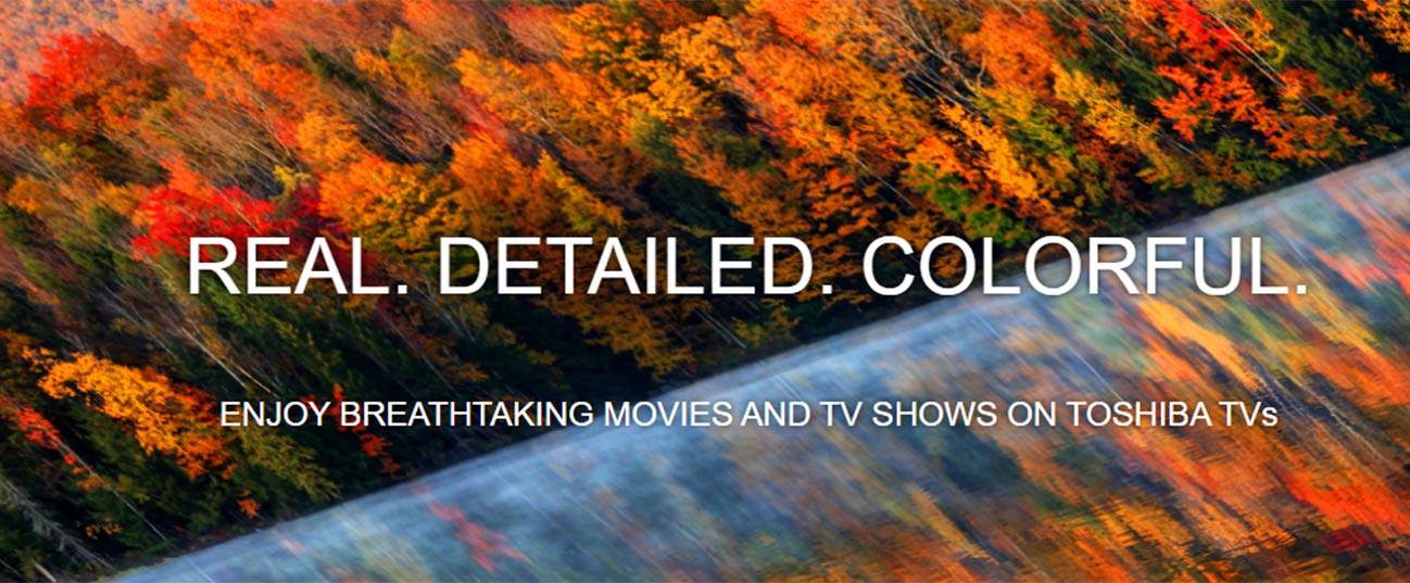 TOSHIBA 43QV1563 43'' 4K QLED