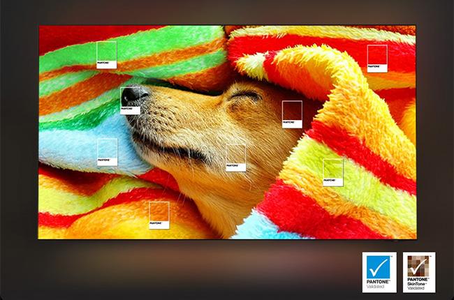 SAMSUNG S85H QLED 4K Vision AI Smart TV Τηλεόραση