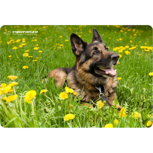 selected sku image thumbnail